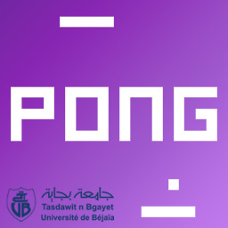 Pong Game